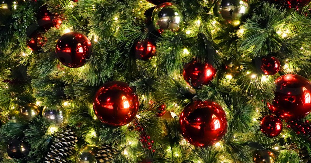 The 2022 Holiday Gift Guide 🎁