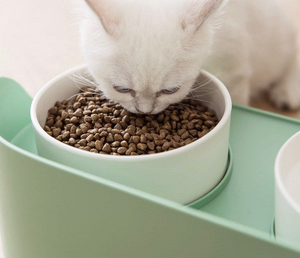 Best Pet Bowl Stand - Functional Art for Modern Homes - Vanilla Bean